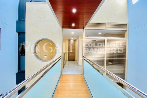 4 bedrooms penthouse for rent in Principado De Andorra (Ninguna Poblacion Tiene C.P.), Lleida, Catalonia, Spain № 7680 - photo 7