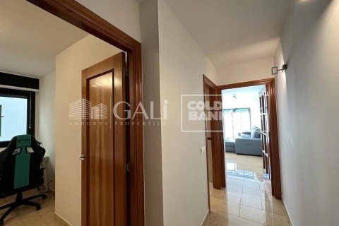 2 bedrooms apartment for rent in Principado De Andorra (Ninguna Poblacion Tiene C.P.), Lleida, Catalonia, Spain № 7683 - photo 4