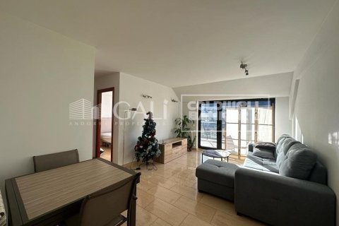 2 bedrooms apartment for rent in Principado De Andorra (Ninguna Poblacion Tiene C.P.), Lleida, Catalonia, Spain № 7683
