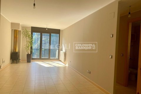 2 bedrooms apartment for rent in Principado De Andorra (Ninguna Poblacion Tiene C.P.), Lleida, Catalonia, Spain № 7679 - photo 22