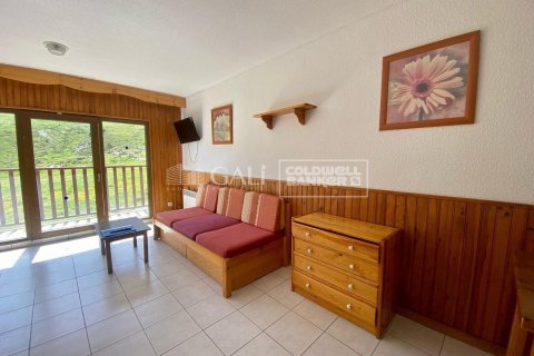 52 sq.m. apartment for rent in Principado De Andorra (Ninguna Poblacion Tiene C.P.), Lleida, Catalonia, Spain № 7681 - photo 22