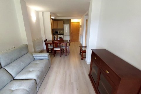 3 bedrooms apartment for rent in Principado De Andorra (Ninguna Poblacion Tiene C.P.), Lleida, Catalonia, Spain № 8000 - photo 3