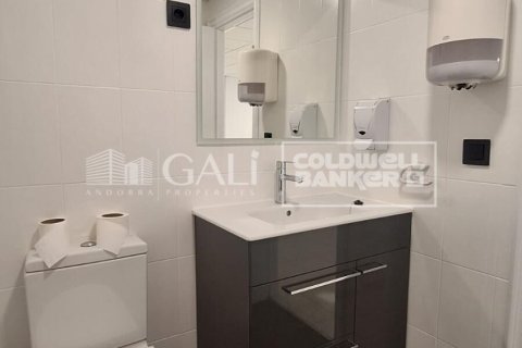 146 sq.m. office for rent in Principado De Andorra (Ninguna Poblacion Tiene C.P.), Lleida, Catalonia, Spain № 8003 - photo 13
