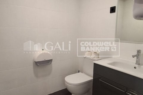 146 sq.m. office for rent in Principado De Andorra (Ninguna Poblacion Tiene C.P.), Lleida, Catalonia, Spain № 8003 - photo 12
