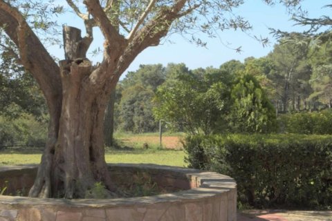 6 bedrooms house for sale in Begur, Girona, Catalonia, Spain № 1659 - photo 4