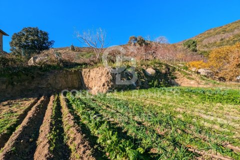 Сasa de 12 dormitorios en venta en Agullana, Gerona, Cataluña, Spain № 5807 - foto 6
