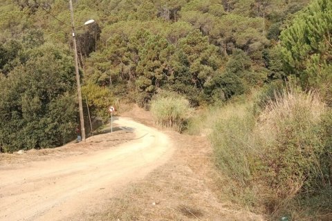 Parcela de 11000 m² en venta en Sant Cebrià de Vallalta, Barcelona, Cataluña, Spain № 5113 - foto 2
