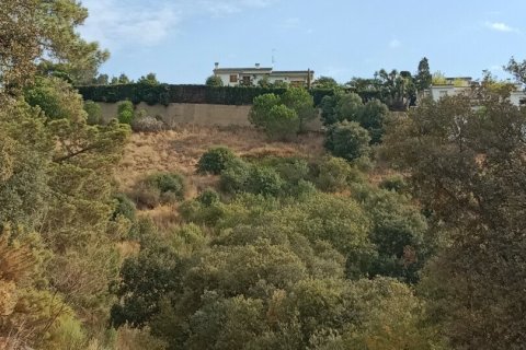 Parcela de 11000 m² en venta en Sant Cebrià de Vallalta, Barcelona, Cataluña, Spain № 5113 - foto 14