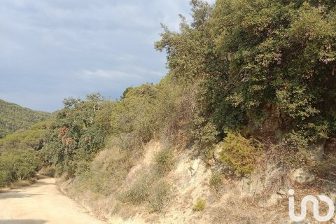 Parcela de 11000 m² en venta en Sant Cebrià de Vallalta, Barcelona, Cataluña, Spain № 5113 - foto 15