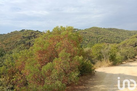 11000 sq.m. land plot for sale in Sant Cebria De Vallalta, Barcelona, Catalonia, Spain № 5113