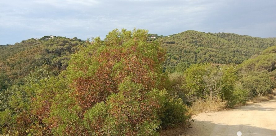 Parcela de 11000 m² en venta en Sant Cebrià de Vallalta, Barcelona, Cataluña, Spain № 5113