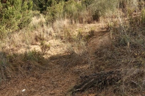 Parcela de 11000 m² en venta en Sant Cebrià de Vallalta, Barcelona, Cataluña, Spain № 5113 - foto 6