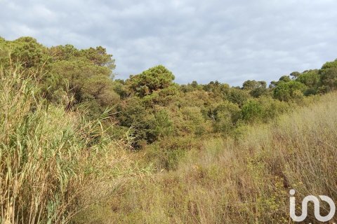 Parcela de 11000 m² en venta en Sant Cebrià de Vallalta, Barcelona, Cataluña, Spain № 5113 - foto 8