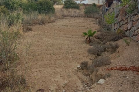 Parcela de 11000 m² en venta en Sant Cebrià de Vallalta, Barcelona, Cataluña, Spain № 5113 - foto 3