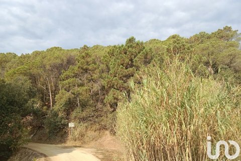 Parcela de 11000 m² en venta en Sant Cebrià de Vallalta, Barcelona, Cataluña, Spain № 5113 - foto 9