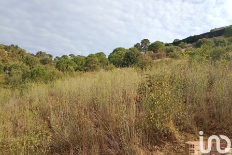 Parcela de 11000 m² en venta en Sant Cebrià de Vallalta, Barcelona, Cataluña, Spain № 5113 - foto 4