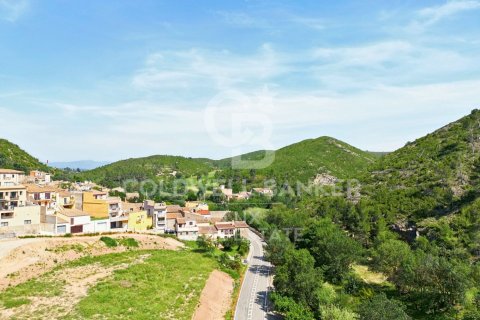 4203 sq.m. land plot for sale in Girona, Catalonia, Spain № 5883 - photo 9
