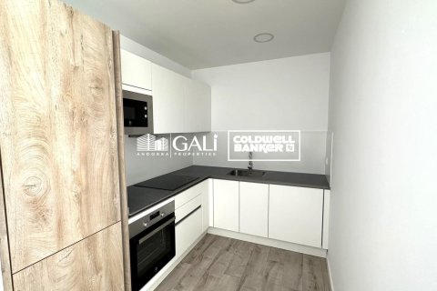 Apartamento de 2 dormitorios en venta en Principado De Andorra (Ninguna Poblacion Tiene C.P.), Lérida, Cataluña, Spain № 5368 - foto 4