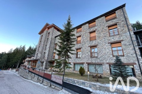 2731 sq.m. commercial property for sale in Alp, Girona, Catalonia, Spain № 8374