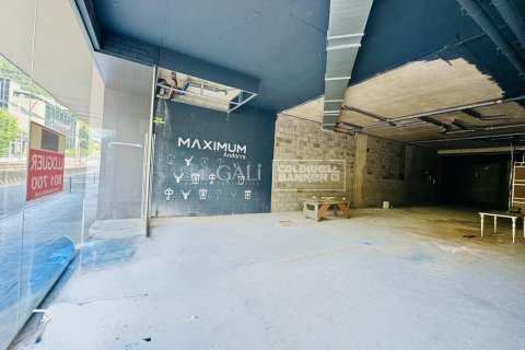 Propiedad comercial de 395 m² en venta en Principado De Andorra (Ninguna Poblacion Tiene C.P.), Lérida, Cataluña, Spain № 7774 - foto 4