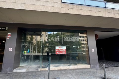 Propiedad comercial de 395 m² en venta en Principado De Andorra (Ninguna Poblacion Tiene C.P.), Lérida, Cataluña, Spain № 7774 - foto 7