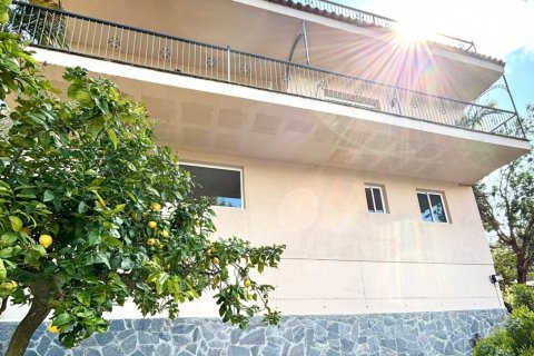 5 bedrooms house for sale in Argentona, Barcelona, Catalonia, Spain № 8996 - photo 28