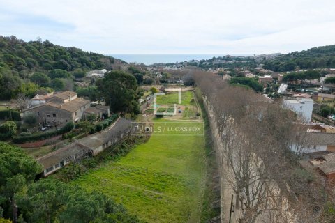 land plot for sale in Teia, Barcelona, Catalonia, Spain № 8587