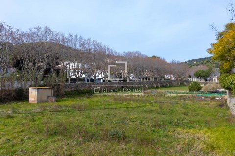 land plot for sale in Teia, Barcelona, Catalonia, Spain № 8587 - photo 9