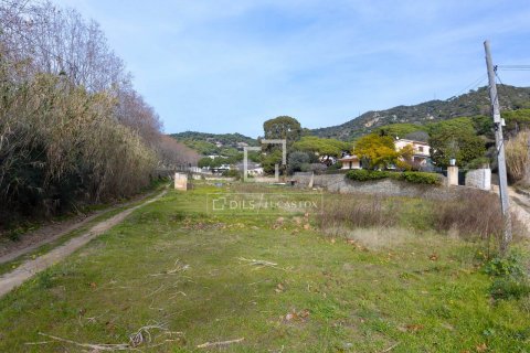 land plot for sale in Teia, Barcelona, Catalonia, Spain № 8587 - photo 4