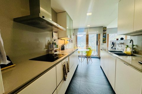 4 bedrooms apartment for sale in Principado De Andorra (Ninguna Poblacion Tiene C.P.), Lleida, Catalonia, Spain № 5286 - photo 5