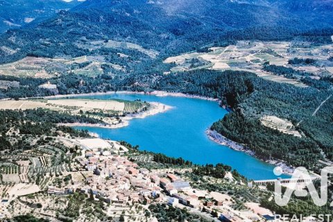 88500 sq.m. land plot for sale in Els Guiamets, Tarragona, Catalonia, Spain № 4676 - photo 3