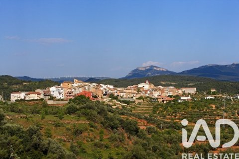 88500 sq.m. land plot for sale in Els Guiamets, Tarragona, Catalonia, Spain № 4676 - photo 14