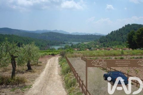 88500 sq.m. land plot for sale in Els Guiamets, Tarragona, Catalonia, Spain № 4676 - photo 8