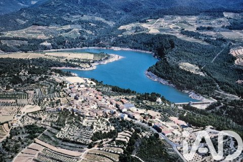 88500 sq.m. land plot for sale in Els Guiamets, Tarragona, Catalonia, Spain № 4676 - photo 12