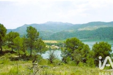 88500 sq.m. land plot for sale in Els Guiamets, Tarragona, Catalonia, Spain № 4676 - photo 16