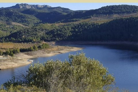 88500 sq.m. land plot for sale in Els Guiamets, Tarragona, Catalonia, Spain № 4676 - photo 2