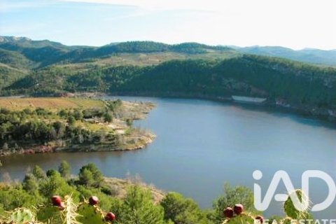 13473 sq.m. land plot for sale in Els Guiamets, Tarragona, Catalonia, Spain № 4675 - photo 9
