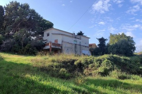 4800 sq.m. land plot for sale in Canet de Mar, Barcelona, Catalonia, Spain № 4678 - photo 2