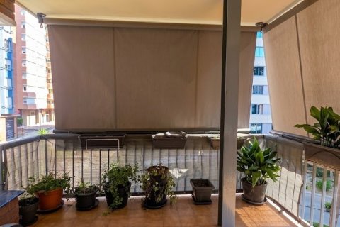 3 chambres apartment à vendre à Barcelona, Catalonia, Spain № 8299 - photo 2