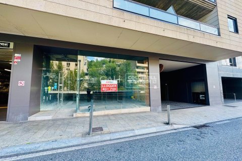 395 sq.m. commercial property for rent in Principado De Andorra (Ninguna Poblacion Tiene C.P.), Lleida, Catalonia, Spain № 6114