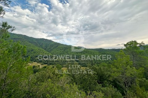 242246 sq.m. land plot for sale in Girona, Catalonia, Spain № 7926 - photo 10