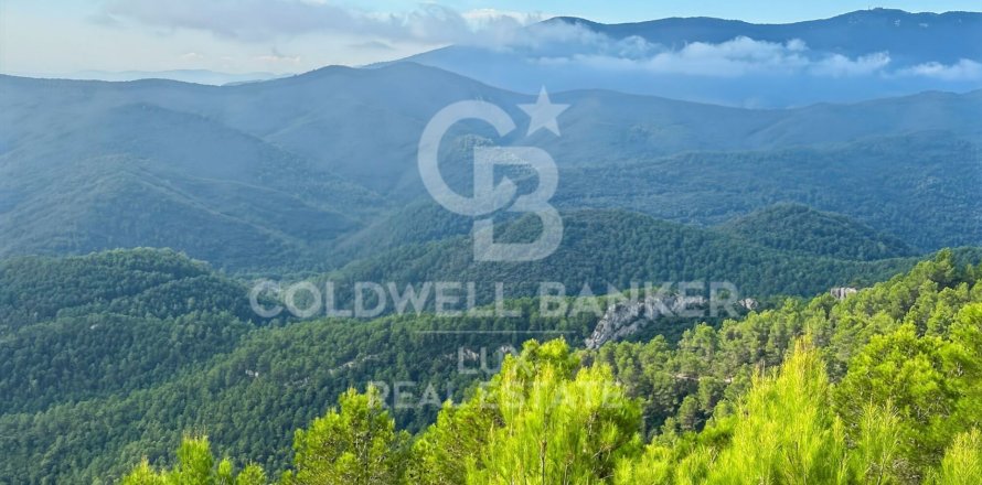 242246 sq.m. land plot for sale in Girona, Catalonia, Spain № 7926