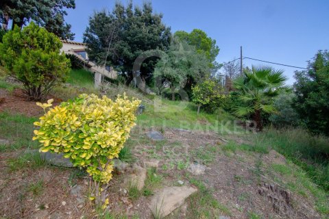 1001 sq.m. land plot for sale in Cerdanyola Del Valles, Barcelona, Catalonia, Spain № 7976 - photo 2