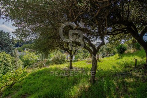 1001 sq.m. land plot for sale in Cerdanyola Del Valles, Barcelona, Catalonia, Spain № 7976 - photo 7