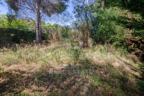 1000 sq.m. land plot for sale in Cerdanyola Del Valles, Barcelona, Catalonia, Spain № 7971 - photo 6