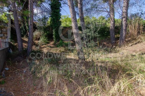1000 sq.m. land plot for sale in Cerdanyola Del Valles, Barcelona, Catalonia, Spain № 7971 - photo 7