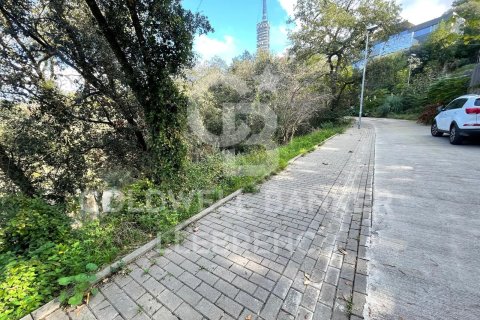 Купить земельный участок в Барселона, Испания 600м², № 6079 - фото 9