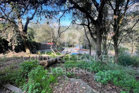 Купить земельный участок в Барселона, Испания 600м², № 6079 - фото 10