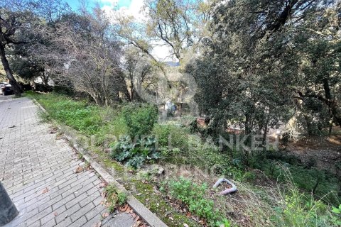 Купить земельный участок в Барселона, Испания 600м², № 6079 - фото 11