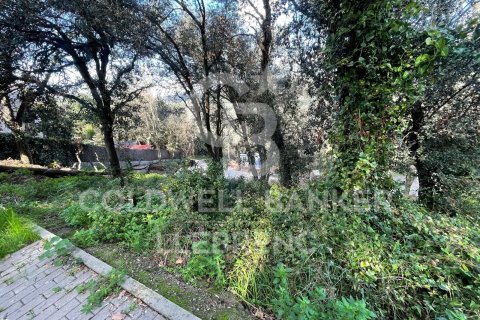 Купить земельный участок в Барселона, Испания 600м², № 6079 - фото 12